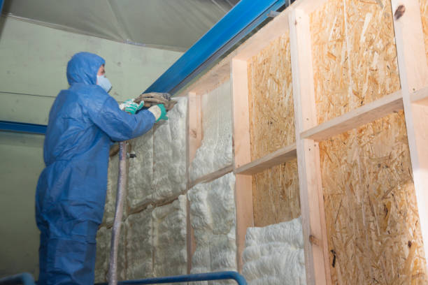 Best Insulation Inspection Services  in Sprague, WV