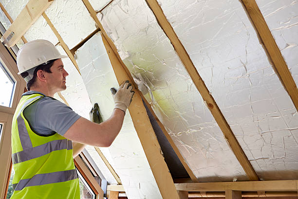 Best Home Insulation Services  in Sprague, WV