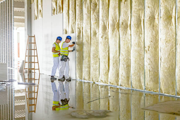 Professional Insulation Contractor in Sprague, WV